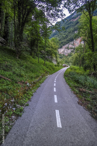 Alpine landscape with the image of road © Dmitry Vereshchagin