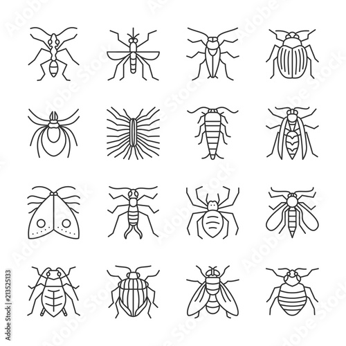 Insect thin line icon set editable stroke