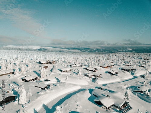 Cabins in the snow