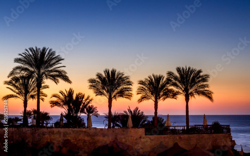 The silhoulette of palm trees in front of a sun rise with pink golden colors bordered by the blue of the sky and the sea