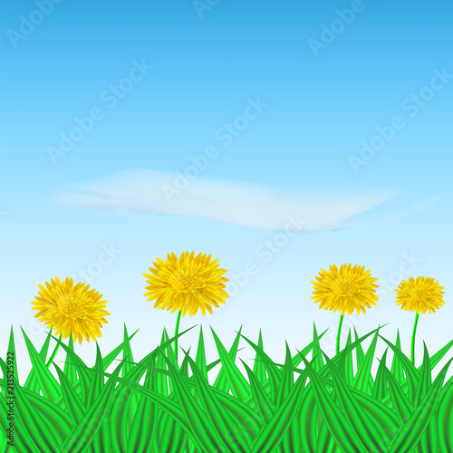 Vector image of realistic flower dandelion in the grass on the background of the sky. Greeting card with a summer day