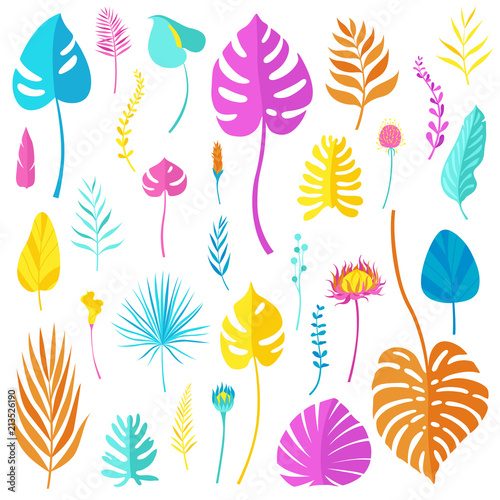 Set of colored bright tropical leaves, flowers and herbs of different kinds isolated on white background. Vector illustration