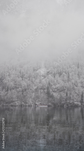 Frozen winter landscape with mist