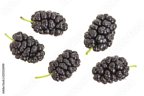 Mulberry berry isolated on white background. Top view. Flat lay