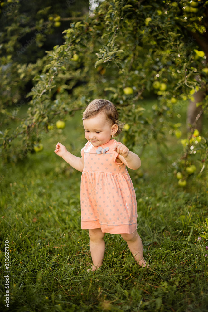 small girl playing in apple orchard small girl playing in apple orchard