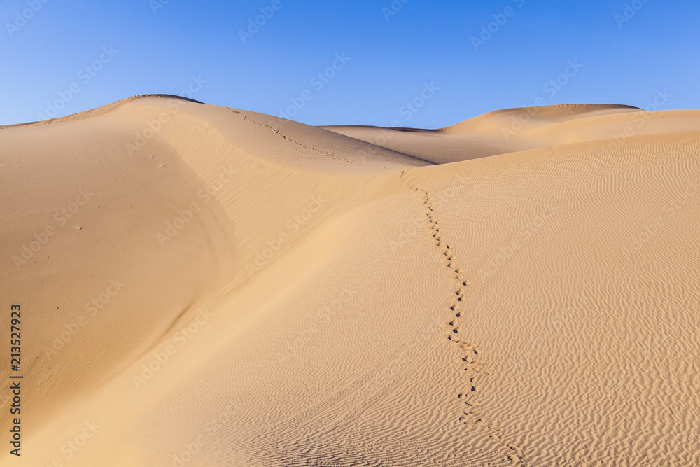 sand dune in sunrise in the sonoran desert with human footsteps in the sand