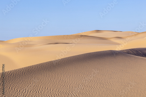 sand dune in sunrise in the sonoran desert