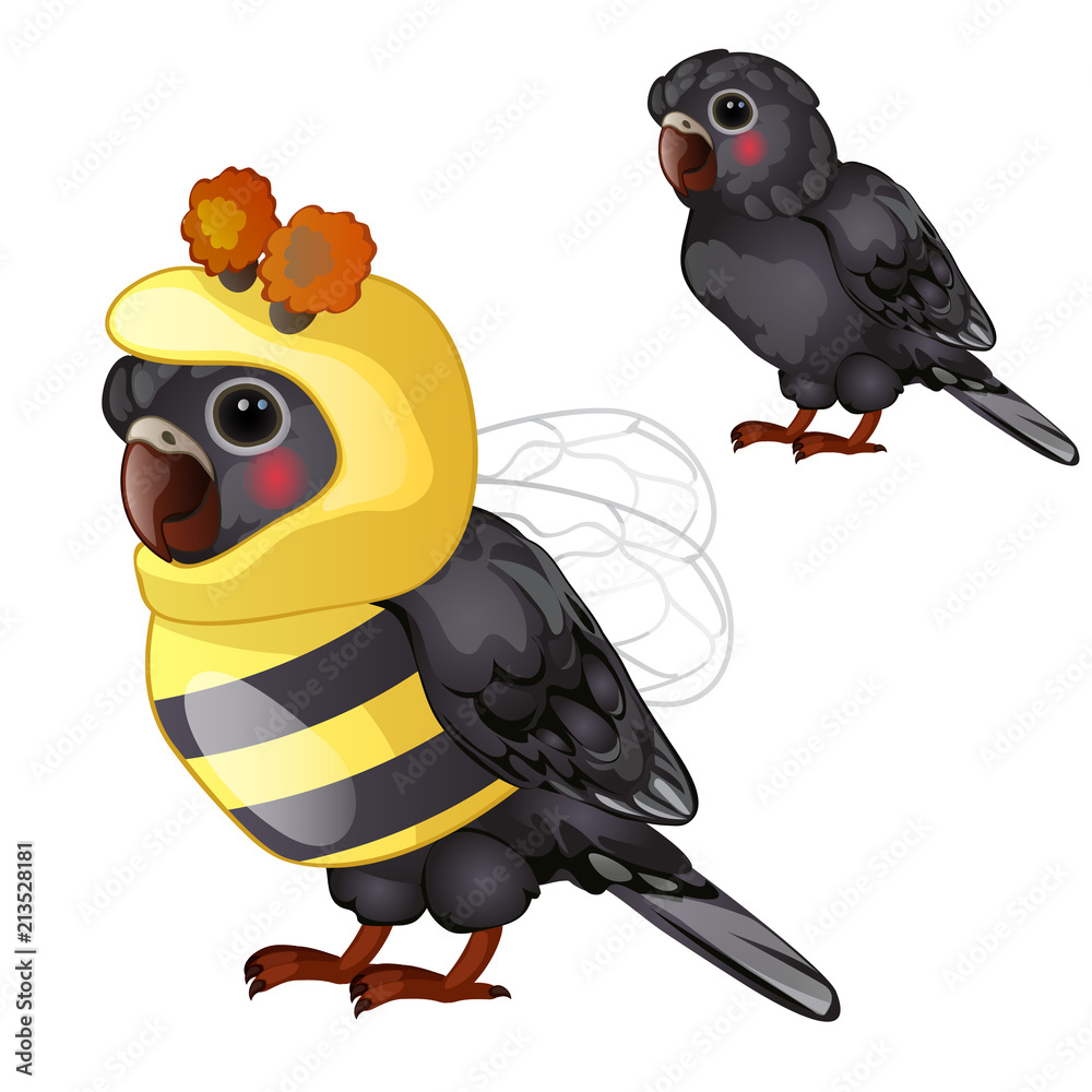 Fototapeta premium Cute black parrot in bee costume isolated on a white background. Tropical tamed bird. Animated vector illustration.