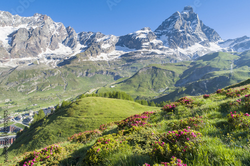summer day in Alps valley with flowers and hills in Italy