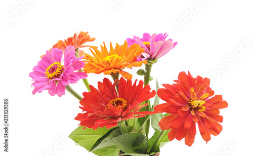 A bouquet of beautiful flowers.