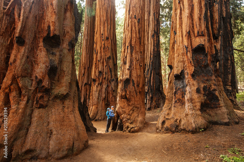 Mother with infant visit Sequoia national park in California, USA photo