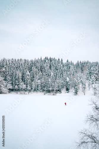 Skiing over a frozen lake