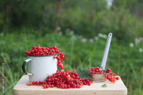 Still-life photo with fresh currant berries on wooden plank photo