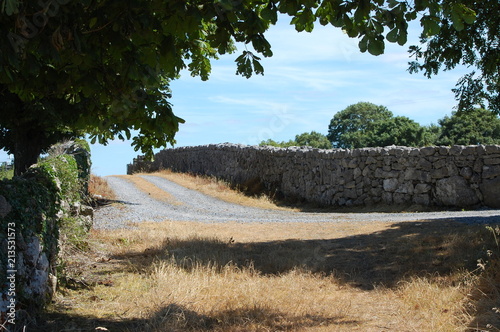 Irish Roads take me Home