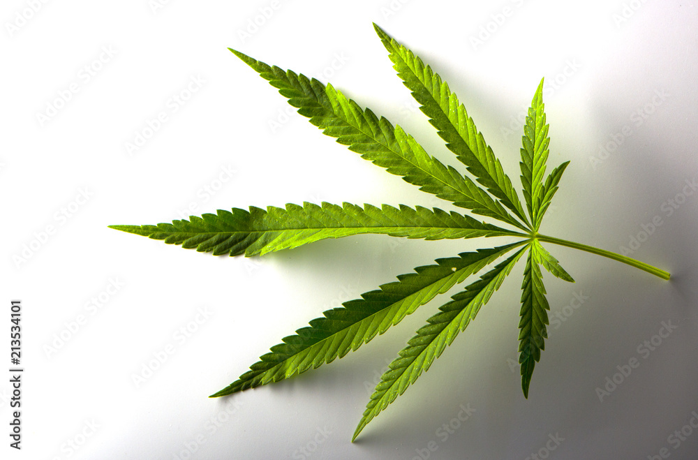 A hemp sheet on a white background
