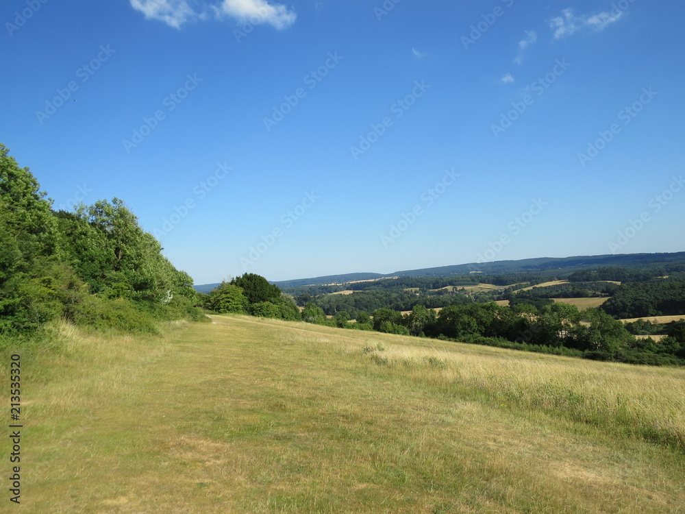 Natural England - fields, forests, sunny views