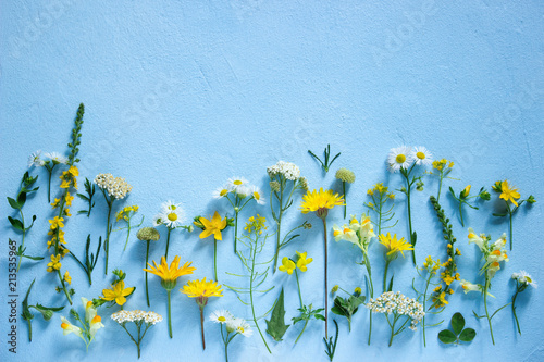 Composition from various wildflowers on a light blue background.
