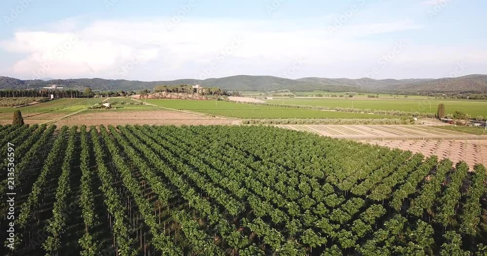 Piombino, Toscana, Italy. Aerial view of farm in the countryside Piombino, Toscana, Italy. Aerial view of farm in the countryside