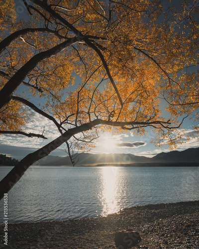 Autumn colors at Lake Tekap...