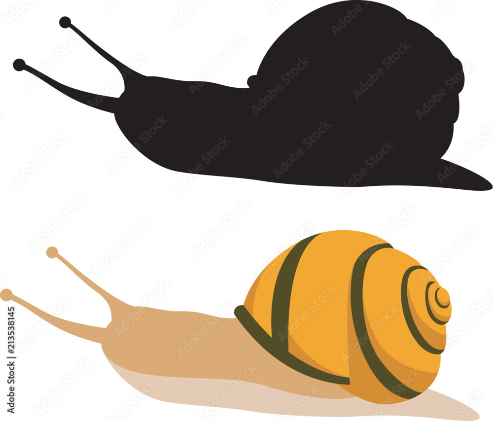 Fototapeta premium snail vector illustration flat style black silhouette