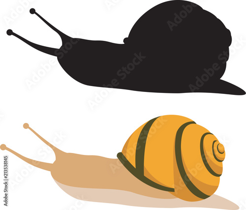 snail vector illustration  flat style black silhouette 