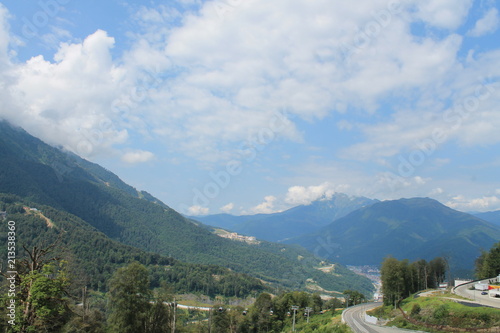 Beautiful flower blossoms in the mountains, in summer