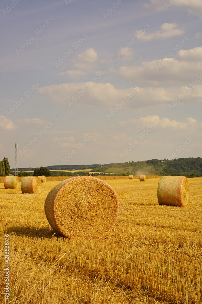 Fototapeta premium Paysage Campagne 288