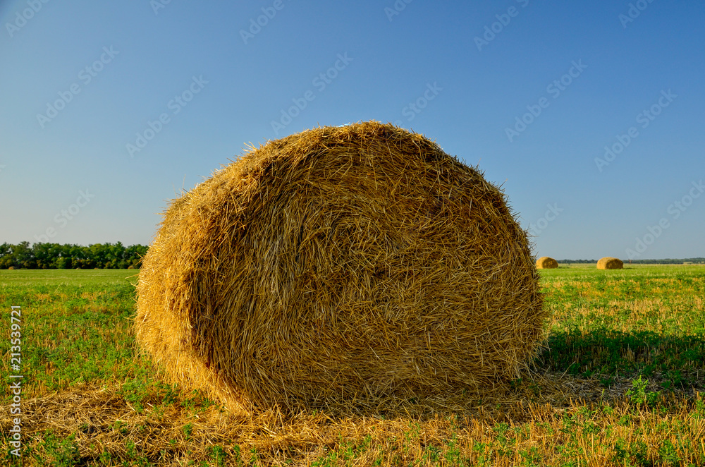 A bale of dry grass on a green field A bale of dry grass on a green field