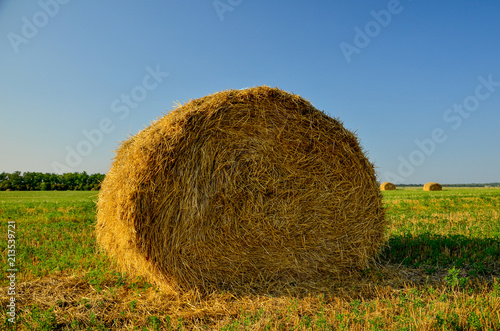 A bale of dry grass on a green field