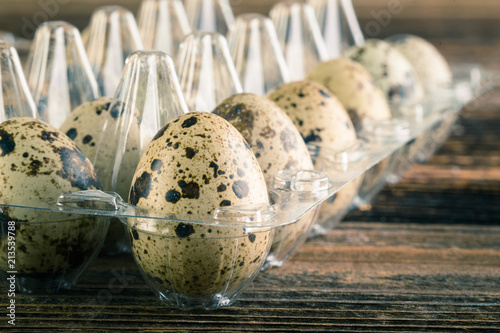 quail eggs in the container