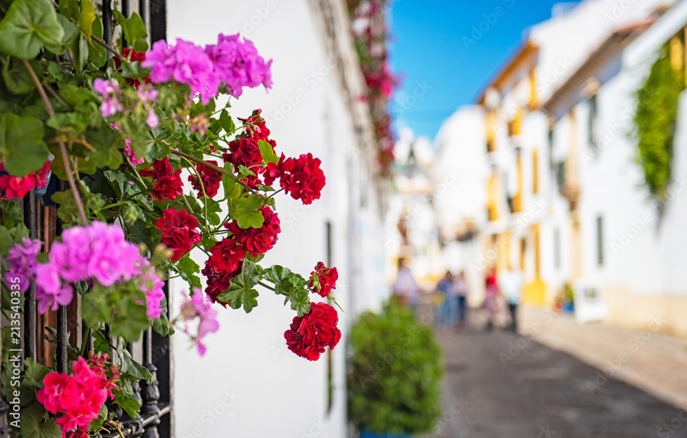 Flowers in the streets in the old town of Cordoba