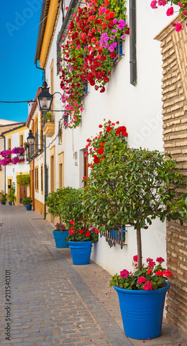 Flowers in the streets in t...
