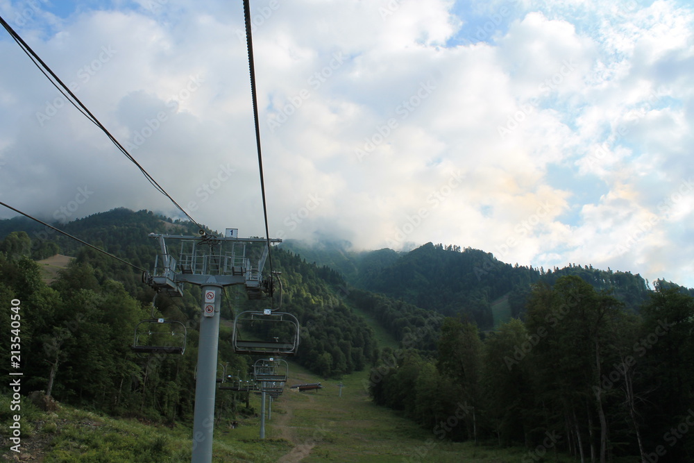 Beautiful flower blossoms in the mountains, in summer