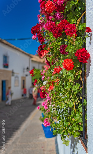 Flowers in the streets in t...