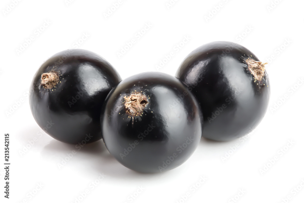 three black currant isolated on white background three black currant isolated on white background