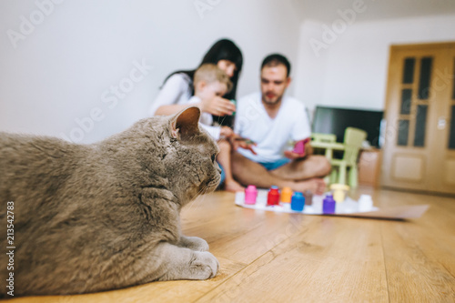 A cat with a family paints paper in the room