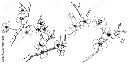 Sakura in a vector style isolated. Full name of the plant: sakura. Vector flower for background, texture, wrapper pattern, frame or border.