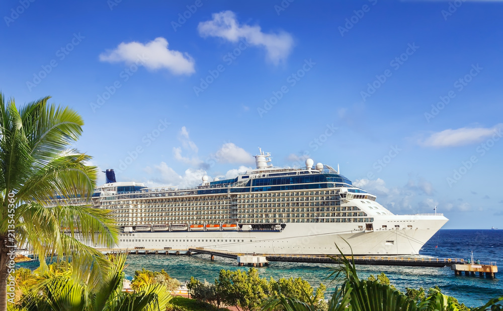 Cruise Ship in port on sunny day