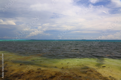 Beautiful contrast of tropical landscape. Coastline with dark water, sea grass and clear turquoise water far away. Maldives, Indian Ocean.