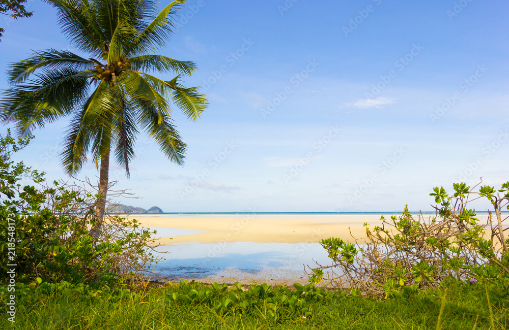 Splendid vegetation views with the beach on the background in the island of Koh Phangan, Thailand. Paradise location, summer holidays, travel destination concepts