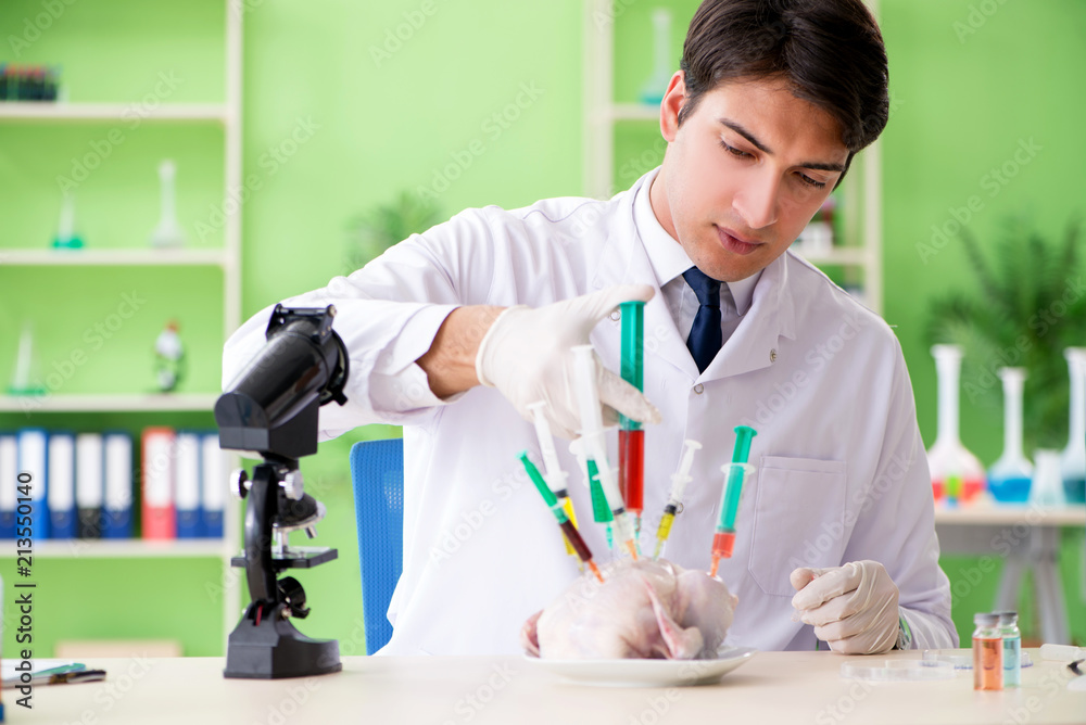 Lab assistant testing GMO chicken Lab assistant testing GMO chicken