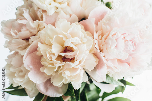 Closeup of pink peony flowers on white background.