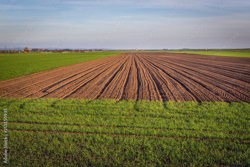 Plwed field near Rabensburg village in Austria