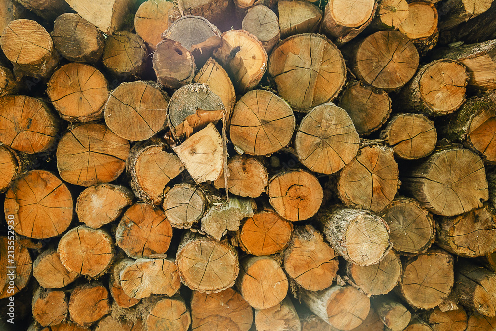 Pile of cut tree wood as abstract natural background Pile of cut tree wood as abstract natural background