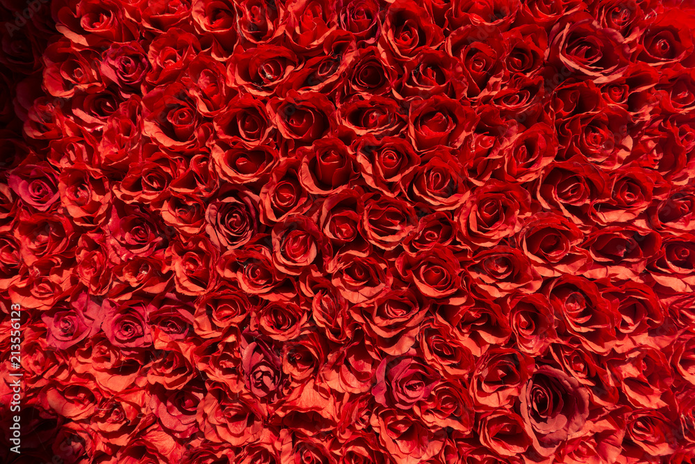 wall of manmade red  flower rosesbunched together