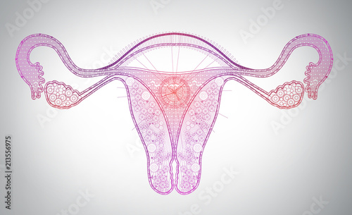 high tech line art of female reproductive system, time, monthly cycle