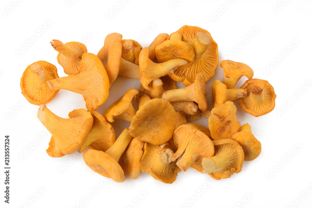 Small hill of pure chanterelle mushrooms isolated on white background Small hill of pure chanterelle mushrooms isolated on white background