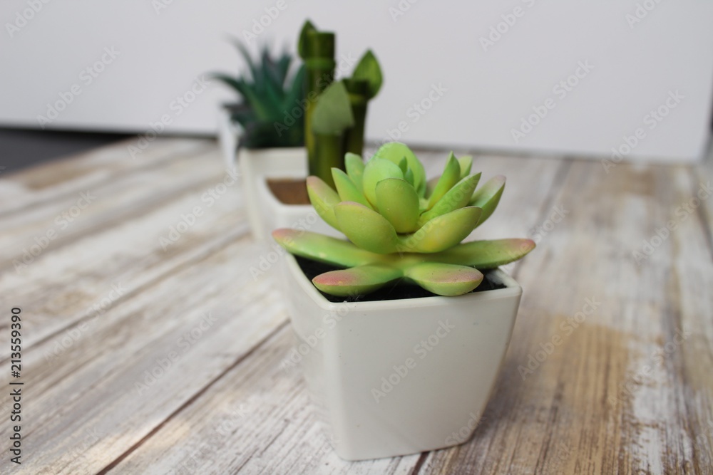 Greenery