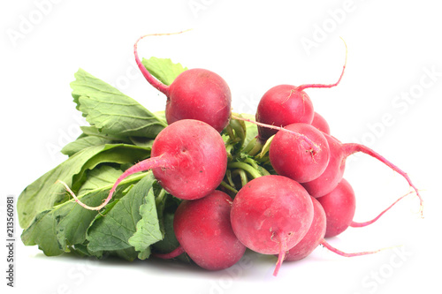 Fresh radish
