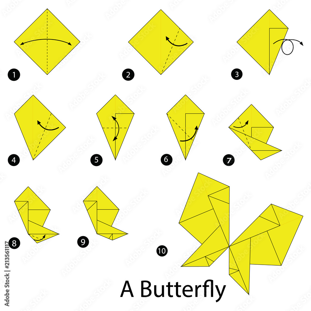 step by step instructions how to make origami A Butterfly vector de Stock |  Adobe Stock